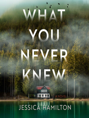 What You Never Knew - Audiobook